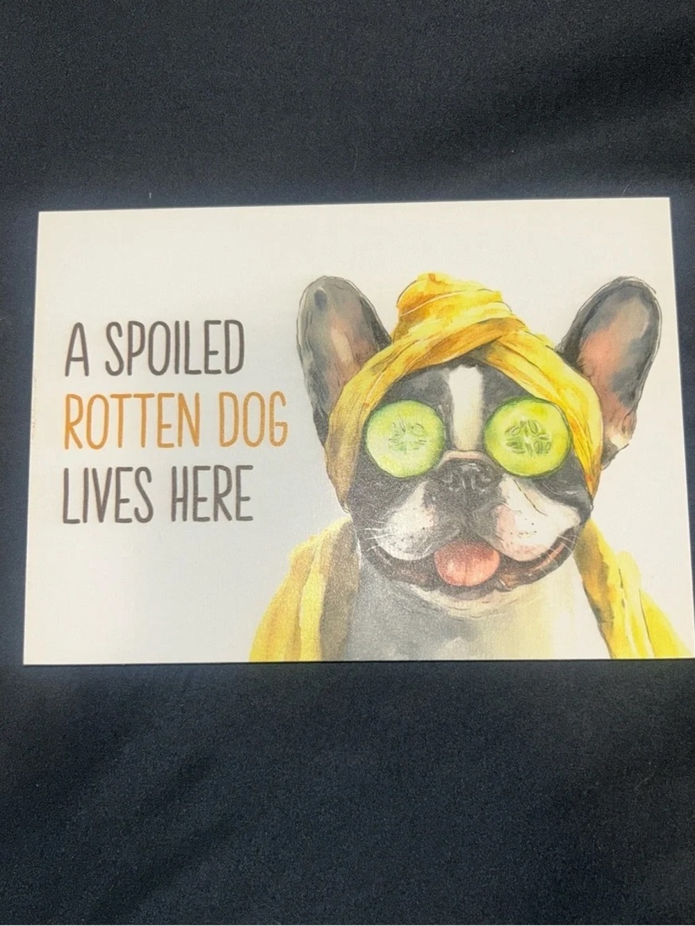 Spoiled Dog Decorative Sign - Yellow French Bulldog Spa Art